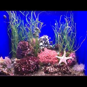 Meet your Posher, Krista